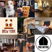 The Mitre is back open today