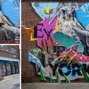 SledOne's new Peregrine Falcon mural on the baxck of Brown's in Back Swinegate
