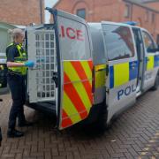 A wanted man has been caught by police in York