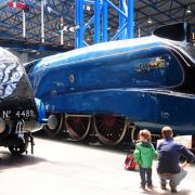Visitors at the NRM yesterday