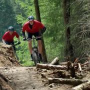 TOUR: Bikers on the trail in Dalby Forest