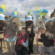 Lucy Butterfield and Ellis Floyd, in hat, with the Scarborough donkeys as they prepare for the arrival of a different kind of rider when the inaugural Tour de Yorkshire arrives