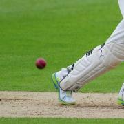 Foss Evening Cricket League: Latest report