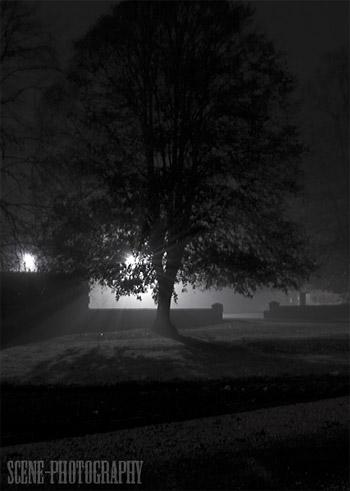 Fog in York on November 20. Picture: Darren Mallinson
