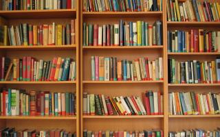 International Booker Prize for Fiction longlist announced for 2022. Photo shows an array of books on a bookshelf, via Canva/Pixabay.