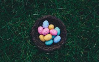National Trust events including Easter egg hunts in and around York (Canva)