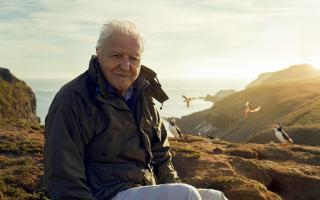 The BBC has announced that they will only air the episode of Sir David Attenborough's new show on BBC iPlayer over rightwing backlash fear.