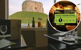 The Olive Tree, Tower Street, has received a one out of five hygiene rating