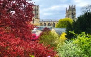 A YouGov poll for Q1 2024 has named York as Britain's 'most popular' city