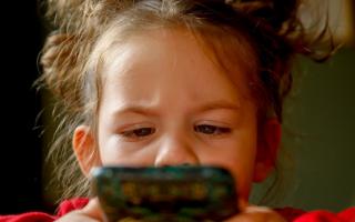 There are many risks to allowing young children open access to mobile phone and social media. Picture: Pixabay