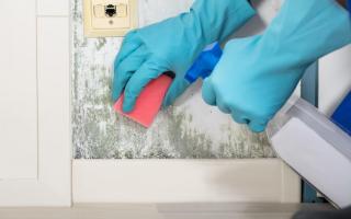 Photo shows the cleaning of mould from a wall. Our letter writers say tenants should be responsible for the upkeep and cleanliness of their homes. What is your view? Email - letters@thepress.co.uk