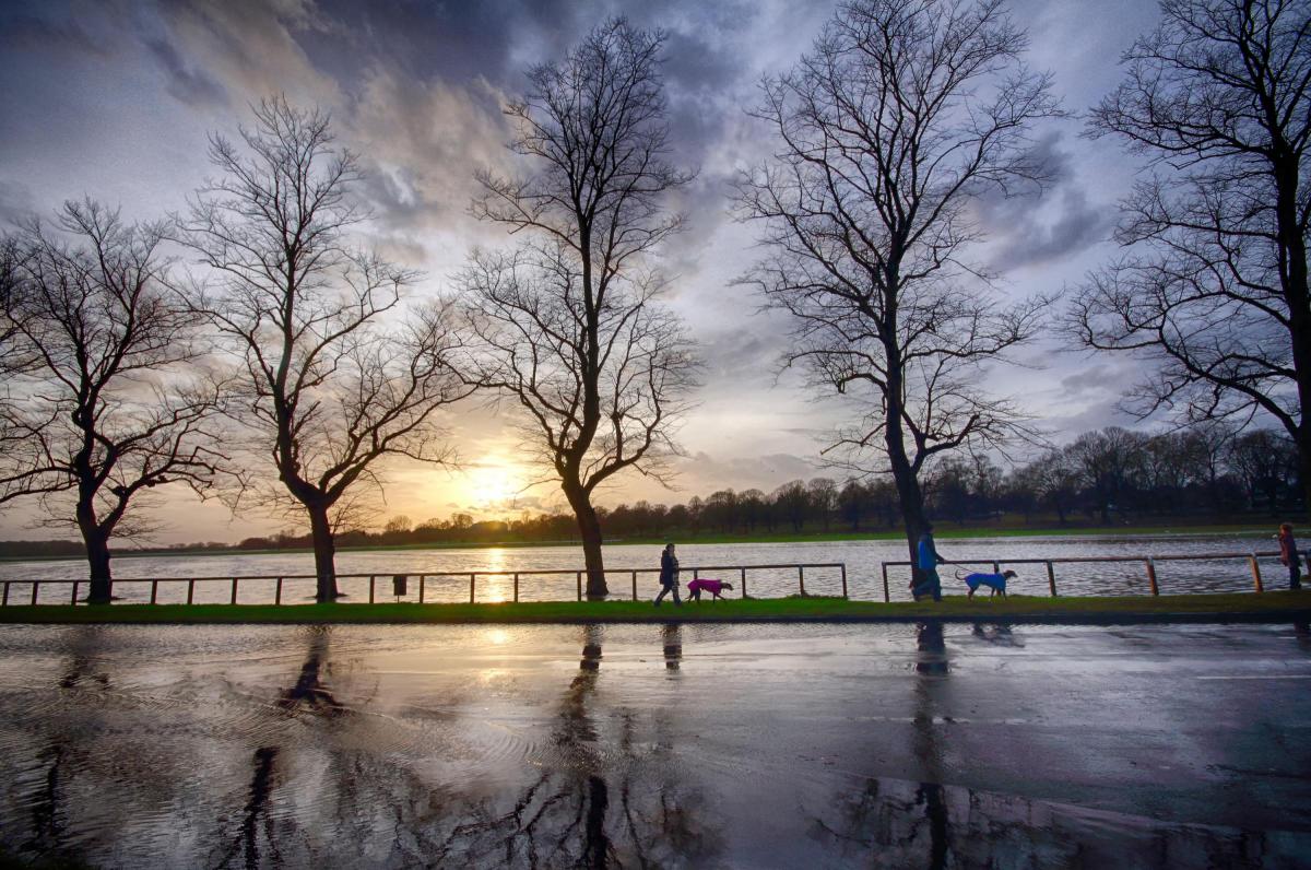 Views of the River Ouse. Photo: Lewis Outing