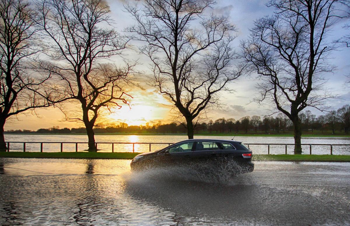 The Knavesmire. Photo: Lewis Outing