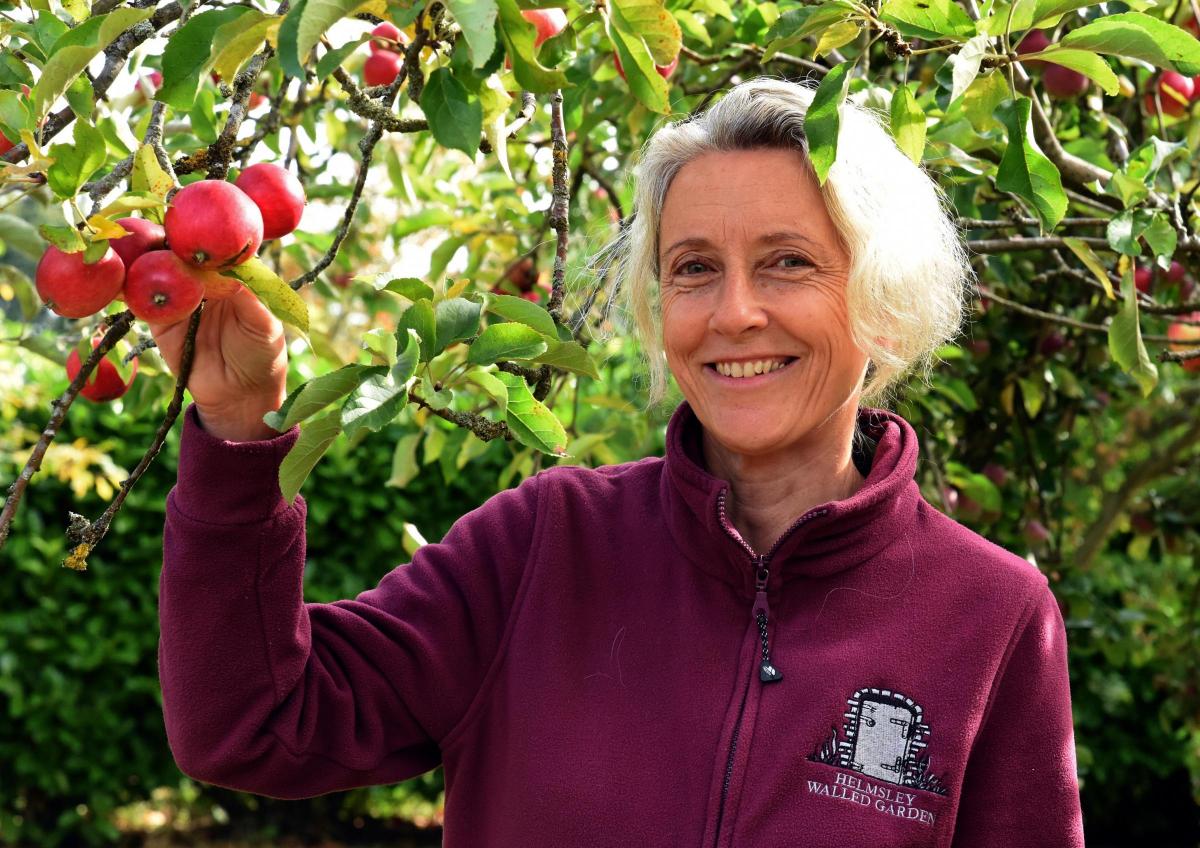 June Tainsh Named As New Manager Of Helmsley Walled Garden York