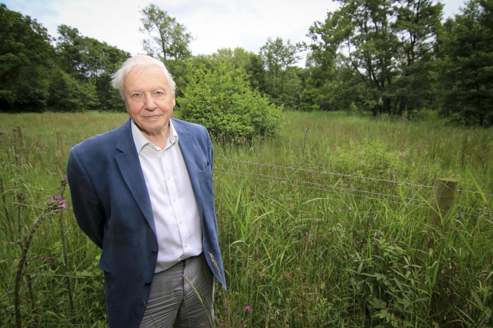 York Press: Sir David Attenborough at Askham Bog