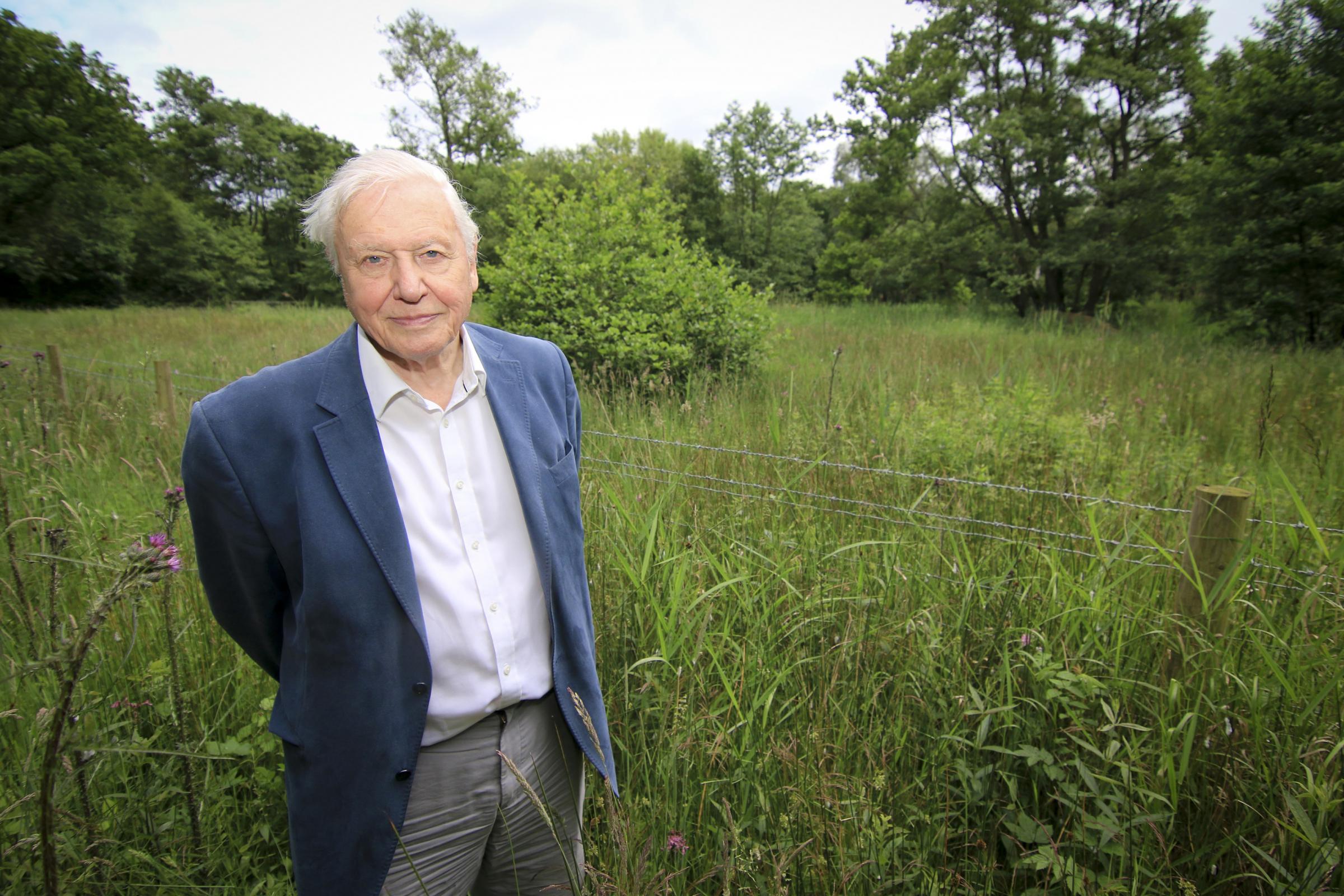 Boris Johnson invited to ‘lie down in front of bulldozers’ at Askham Bog