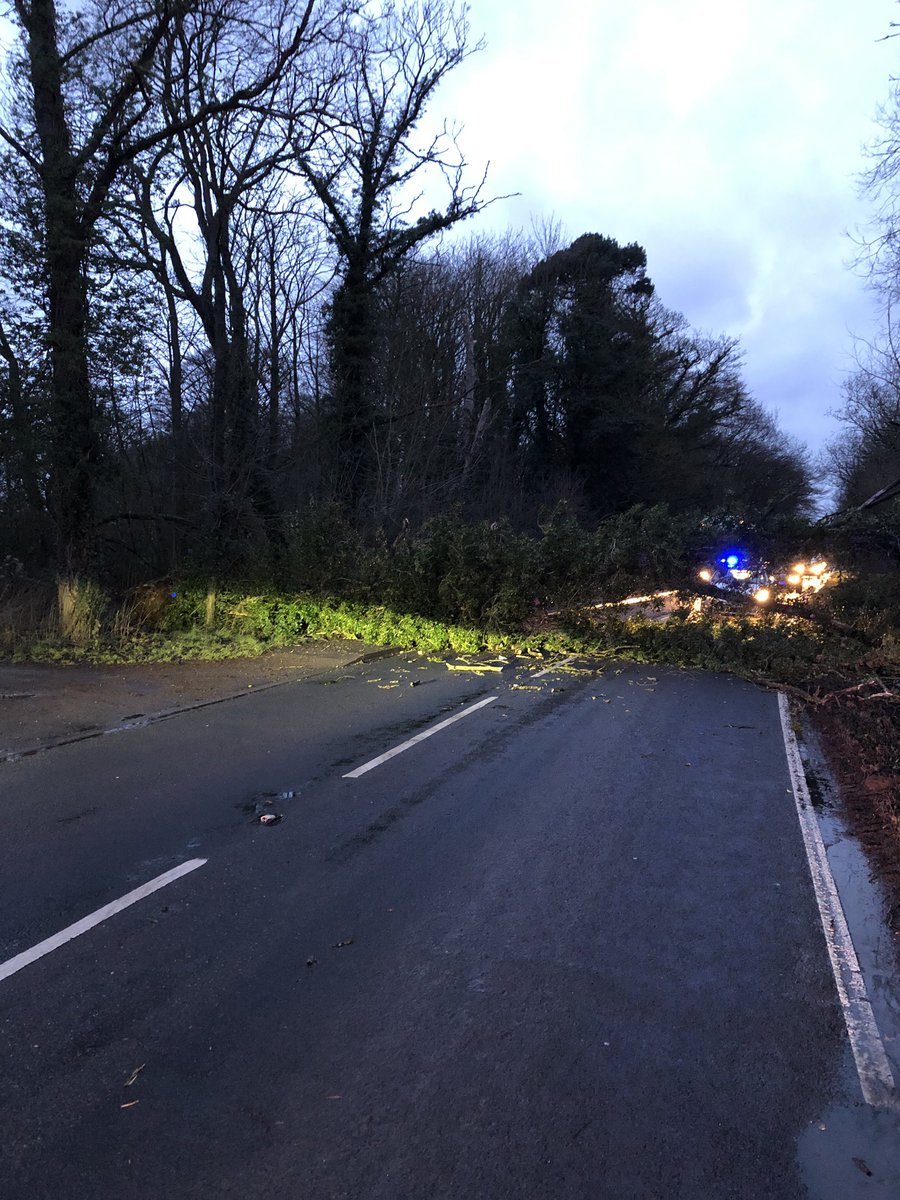 Weather warning as strong winds cause disruption and fallen trees